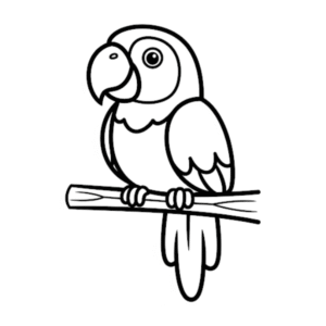 Desenhos de araras para imprimir e colorir