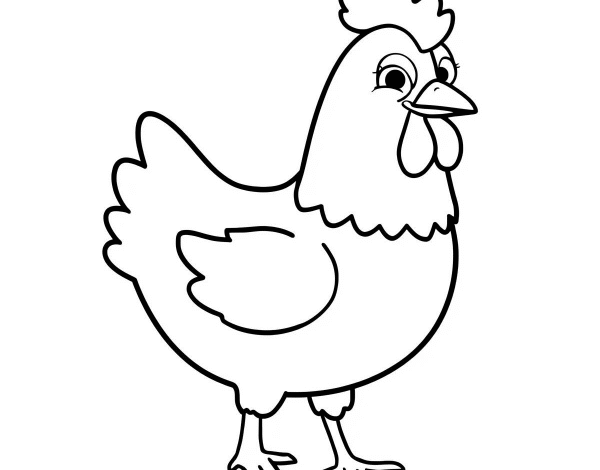 Desenhos de Galinhas Para Imprimir e Colorir