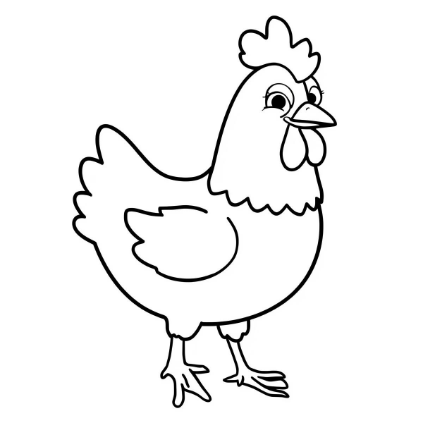 Desenhos de Galinhas Para Imprimir e Colorir