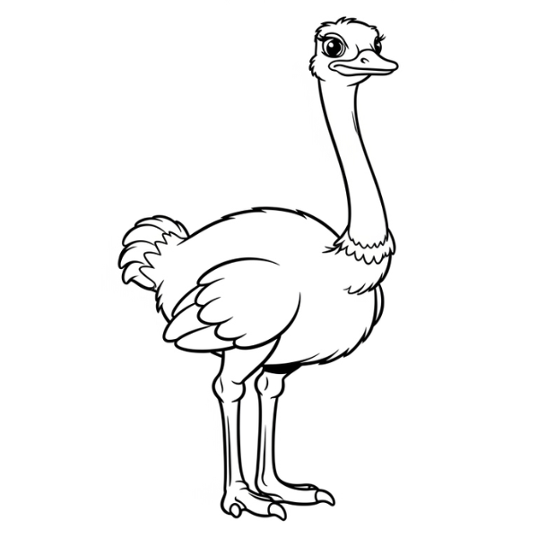 Desenho de avestruz para imprimir e colorir